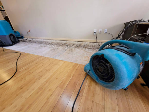 Professional Water Extraction technician working in Jackson, CA